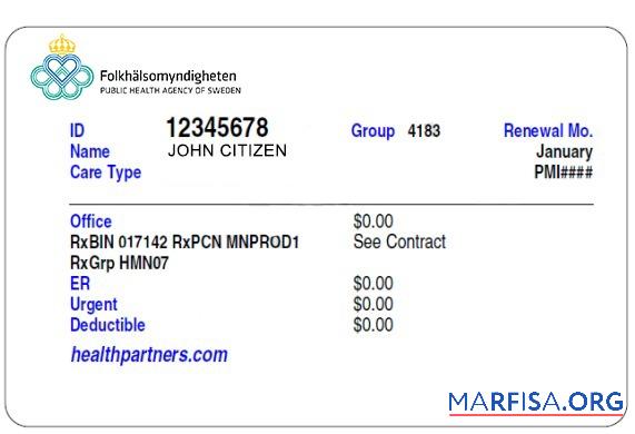 Realistic Sweden health insurance card real example